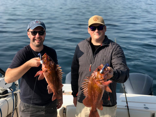 fishing for rockfish